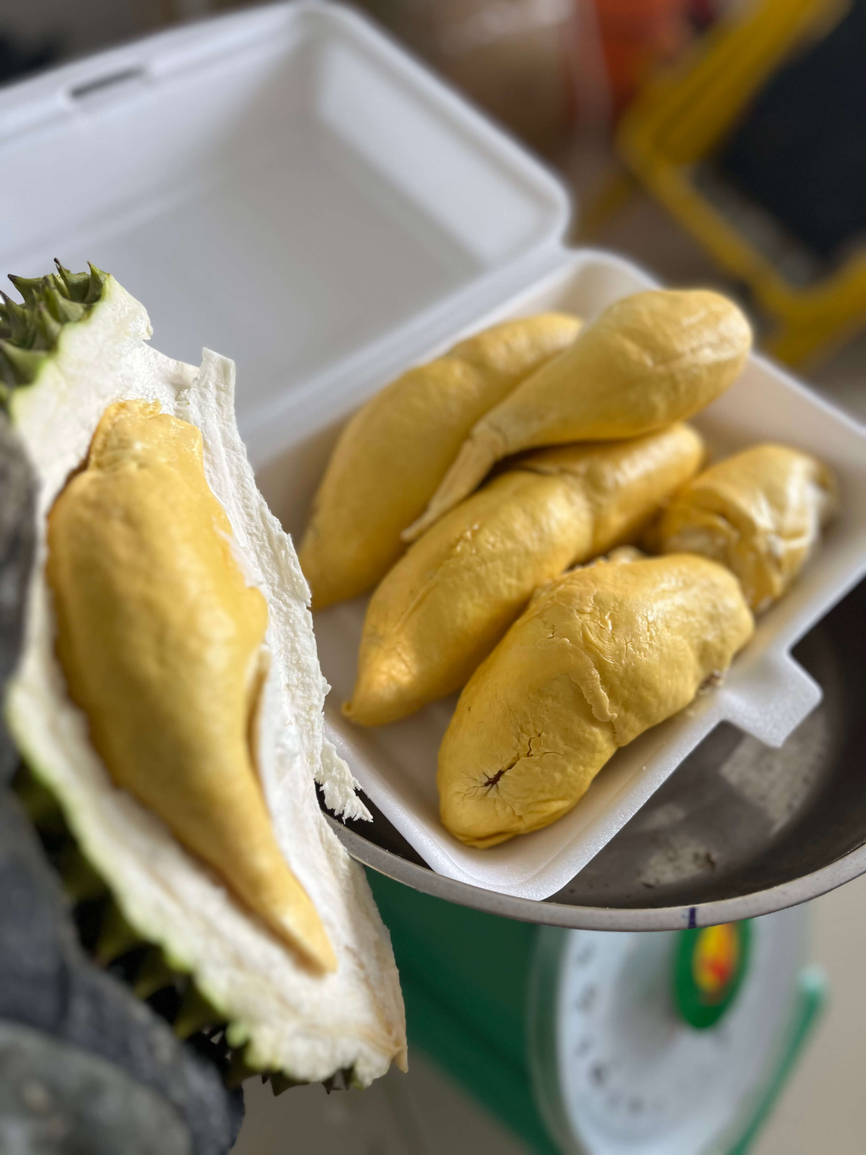 Sầu riêng RI6 - Cơm vàng dẻo